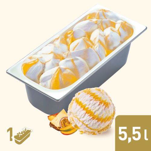 Gelateria Exotic 1x5,5l