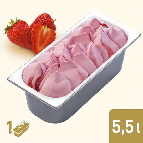 Gelateria Erdbeer 1x5,5l