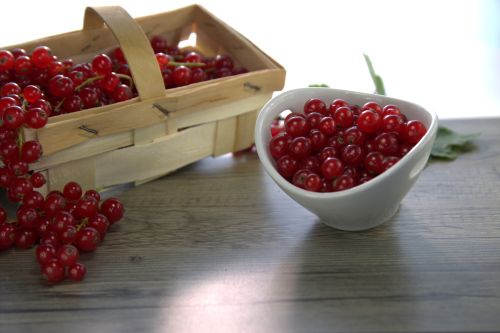 Melzer Ribisel, rot 1x2,5kg
