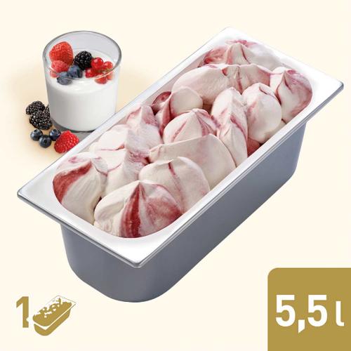 Gelateria Joghurt Waldbeere 1x5,5l