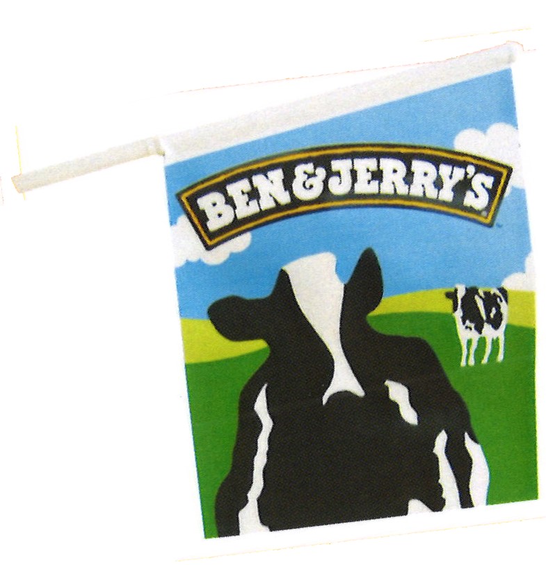 WM Ben&Jerry Fahne