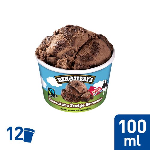 Ben & Jerry´s Chocolate Fudge Brownie 12x100ml
