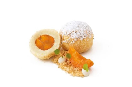 Caterline Topfenknödel mit Marillenfruchtfülle 120x50g