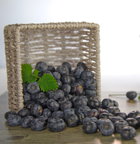 Melzer Heidelbeeren 1x2,5kg